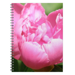 Cuaderno rosado del Peony
