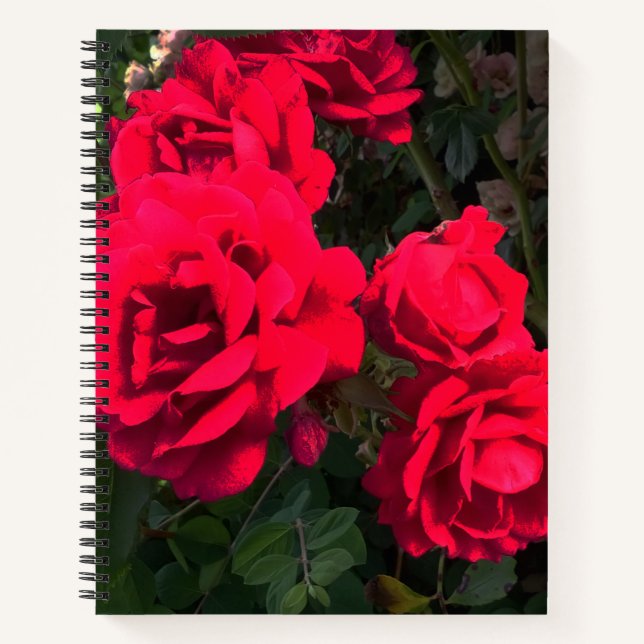 Cuaderno Rosario Roses Rojos (Anverso)