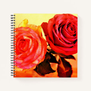 Cuaderno Rosas brillantes