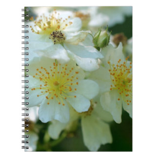 Cuaderno Rosas de apuestas Flores Bloc de notas