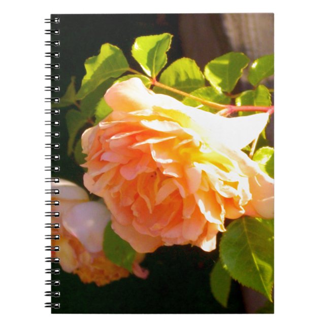 Cuaderno Rosas de Country Peach (Frente)