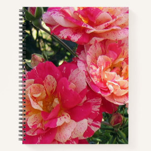 Cuaderno Rosas de rayas rosas y blancas: arte floral
