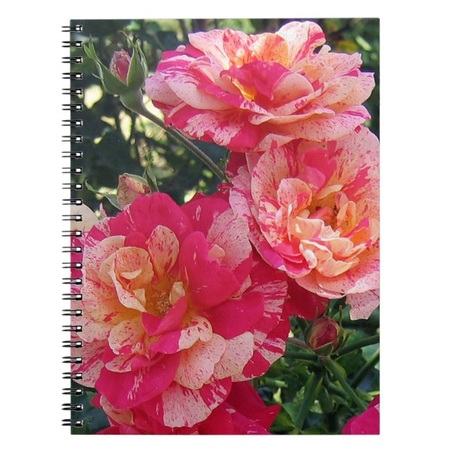 Cuaderno Rosas de rayas rosas y blancas: arte floral pequeñ (Frente)