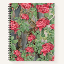 Rosas de Victoria Las hojas verdes en gris