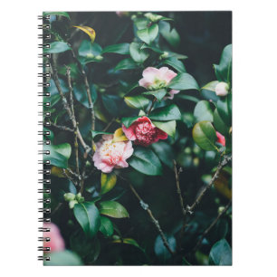 CUADERNO ROSAS DEL JARDÍN