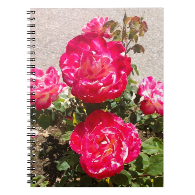 Cuaderno Rosas del Jardín Rojo (Frente)