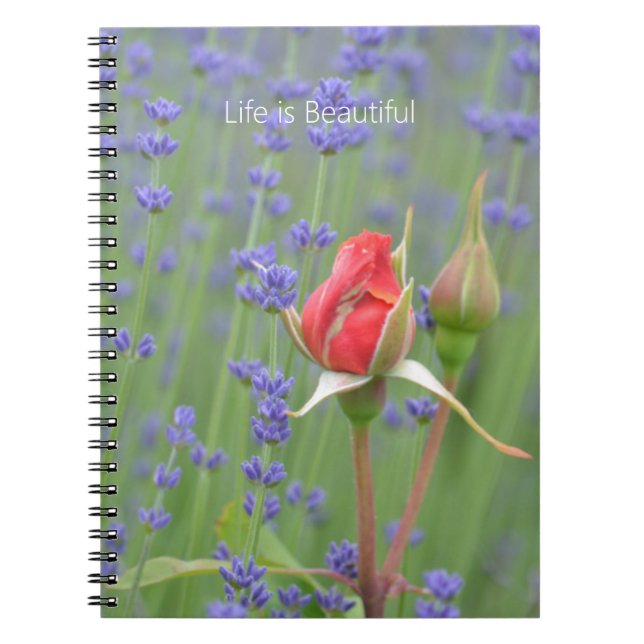 Cuaderno Rosas Lavanda Floral (mi fotografía) (Frente)