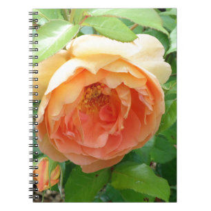 Cuaderno Rosas Naranjas románticos