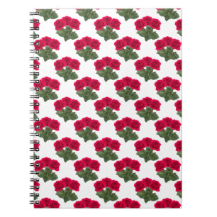 Cuaderno Rosas rojas