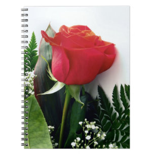 Cuaderno Rosas rojas