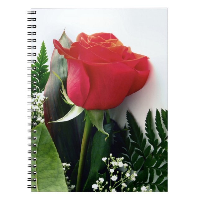 Cuaderno Rosas rojas (Frente)