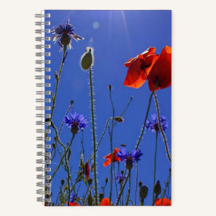 Cuaderno rosas rojos y morados abrazando un cielo y sol azu