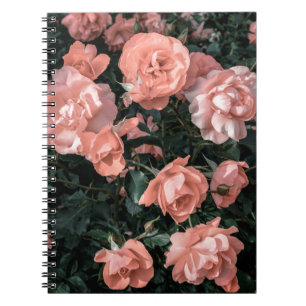 Cuaderno rosas rosadas pasteles que crecen en el jardín en