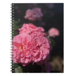 Cuaderno Rosas rosas rosas
