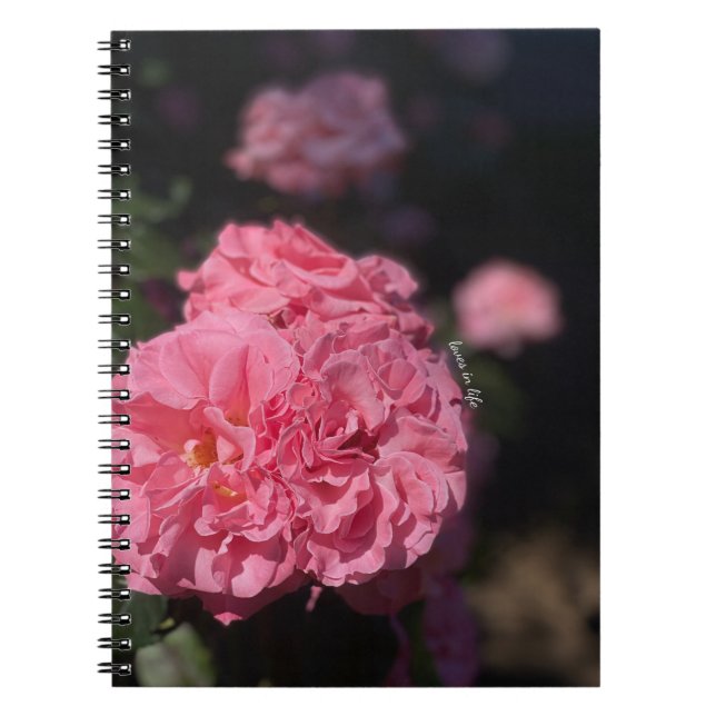 Cuaderno Rosas rosas rosas (Frente)
