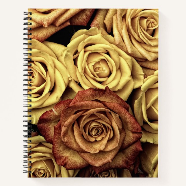 Cuaderno Rosas Sepia Tintados (Anverso)