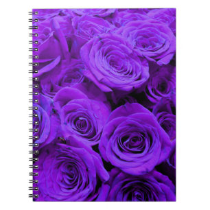 Cuaderno rosas violeta romántico violeta, ramo de rosa boni