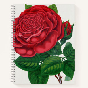 Cuaderno Rose Print Rochester Litografía e Imprenta Co