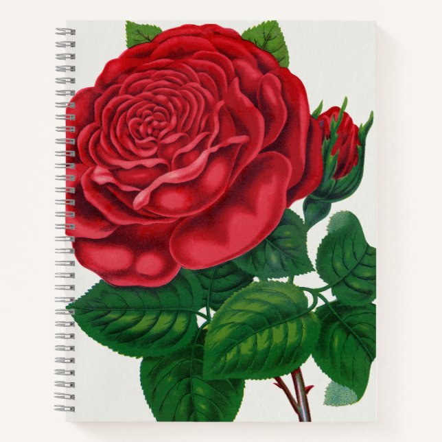 Cuaderno Rose Print Rochester Litografía e Imprenta Co (Anverso)