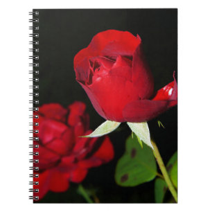 Cuaderno Roses rojos