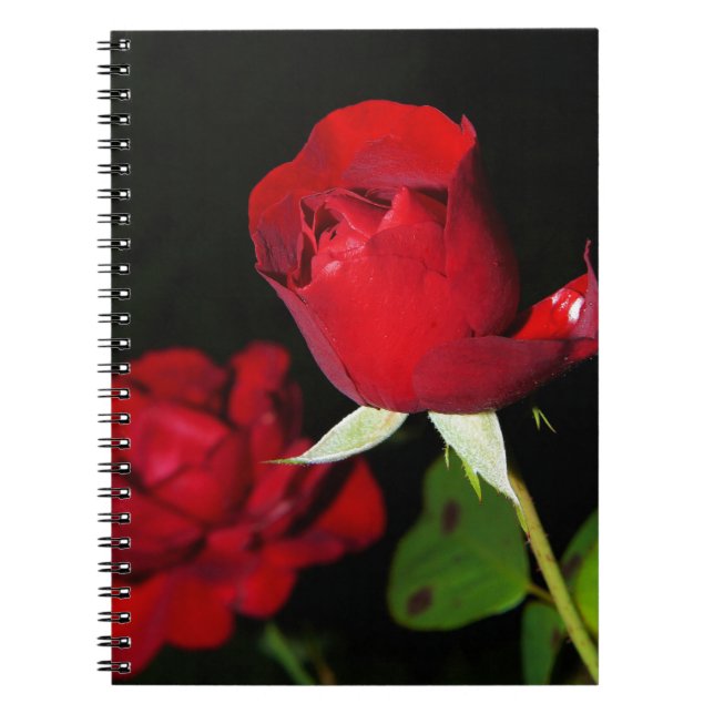 Cuaderno Roses rojos (Frente)