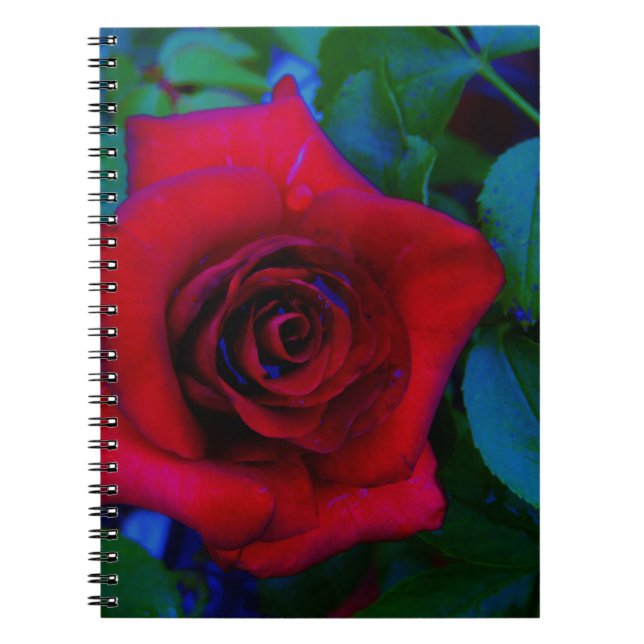 Cuaderno Roses rojos con tonos azules (Frente)