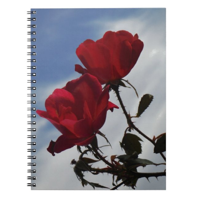 Cuaderno Roses rojos contra un brillante cielo azul (Frente)