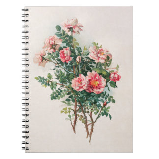 Cuaderno Roses rosados de color agua