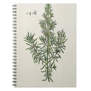 Cuaderno Rosmarinus Officinalis, "de un herbario curioso",