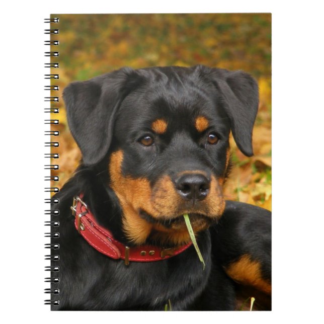 Cuaderno Rottweiler Pup En El Suelo En El Bosque (Frente)