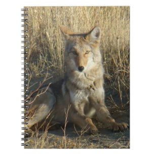 Cuaderno Rótulo de coyote R15