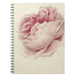 Cuaderno Roze Roos (1792) - Arte botánico de época