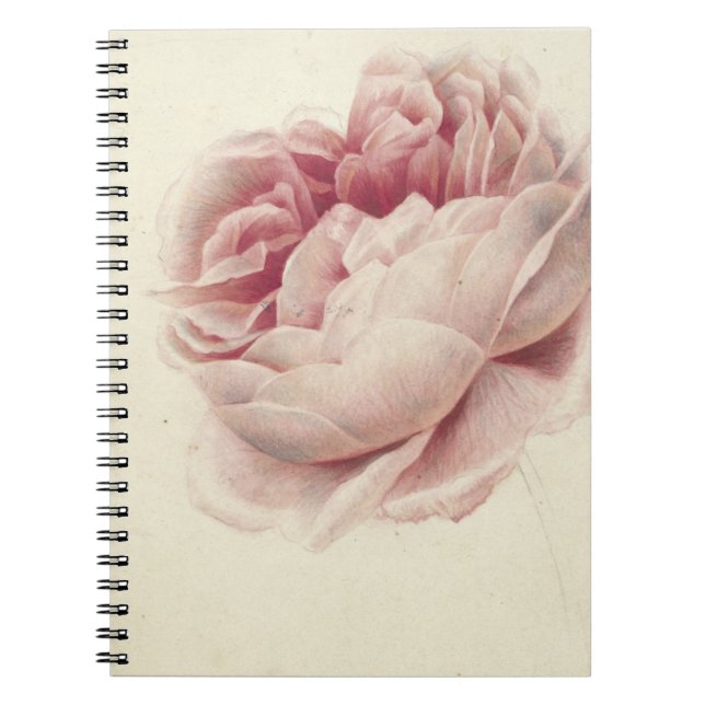 Cuaderno Roze Roos (1792) - Arte botánico de época (Frente)
