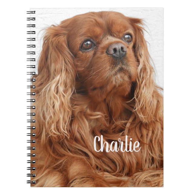 Cuaderno Ruby Cavalier King Charles Spaniel Dog (Frente)