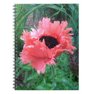 Cuaderno "Rufas rosadas" de POPPY —