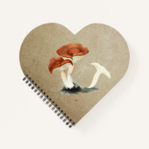 Rufous Milkcap Mushroom