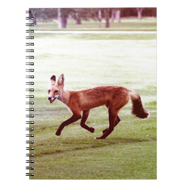 Cuaderno running red fox photograph (Frente)