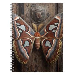 Cuaderno Rústico de Atlas Moth