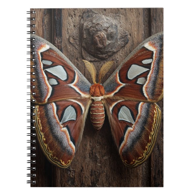 Cuaderno Rústico de Atlas Moth (Frente)