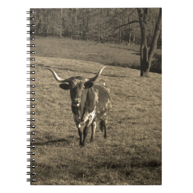 Cuaderno Rústico Texas Longhorn ganado vacuno toro (Frente)