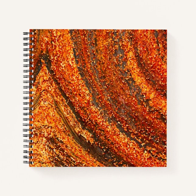 Cuaderno Rusty metalizado (Anverso)