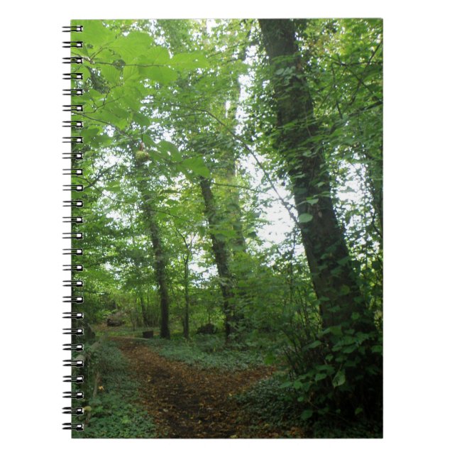 Cuaderno Ruta a través del bloc de notas del bosque verde (Frente)