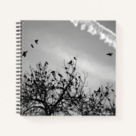 Cuaderno Ruta de vuelo