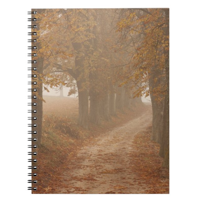 Cuaderno Ruta de Woodland a través de la foto de árboles de (Frente)