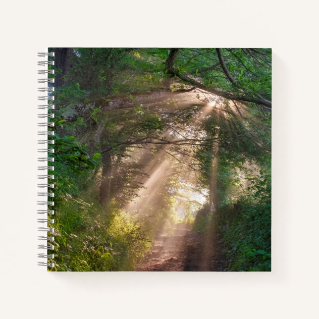Cuaderno Ruta forestal (Anverso)