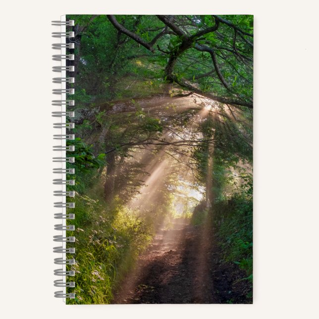 Cuaderno Ruta forestal (Anverso)