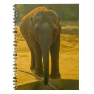 Cuaderno Sabiduría del Elefante Dorado - Vida salvaje majes