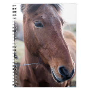 CUADERNO SAD HORSE