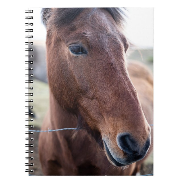 CUADERNO SAD HORSE (Frente)