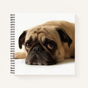 Cuaderno Sad Pug